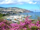 Остров Мадейра (Португалия) - уникальный климатический курорт (температура воздуха круглый год находится в пределах 20-25С)