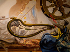Испания, Фигерас и Музей Сальвадора Дали (авторские права Anky / Shutterstock.com)