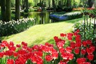 Нидерланды, Парк цветов Кёкенхоф (Keukenhof)