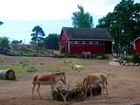 Зоопарки Швеции