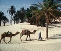 Что нужно учитывать, собираясь на отдых в Тунис