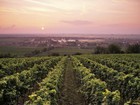 Винодельческий рай Франции