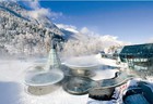 Спа и термальные источники Австрии