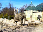 Зоопарк в Мюнхене