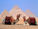 Горящие туры в Египет из Санкт-Петербурга
