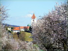 Айзенштадт – столица федеральной земли Бургенланд ,туры в Австрию