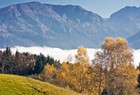 Тур в Австрию: отдых летом с видом на Альпы, туры в Австрию