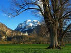 Обычаи и традиции Австрии: свадебные обряды, туры в Австрию