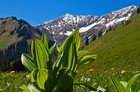 Защита окружающей среды, туры в Австрию