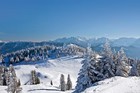 Австрия. Санные спуски — новинка уходящей зимы