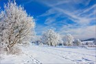 Снег в Германии можно найти год