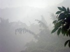 Климат Таиланда - тропический дождь на 20 минут