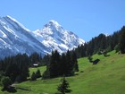 Высокогорная альпийская дорога