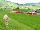 Швейцарский животный мир